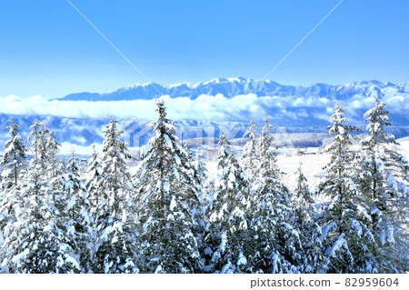 冬季Kirigamine高原 82959604