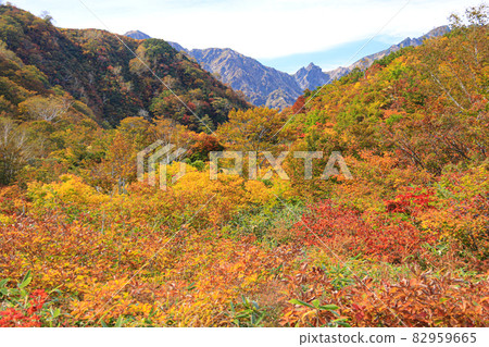 Autumn in the Northern Alps, Goryu distant view trekking in autumn colors, overlooking Mt. Goryu 82959665