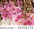 粉紅色的干花 82959734