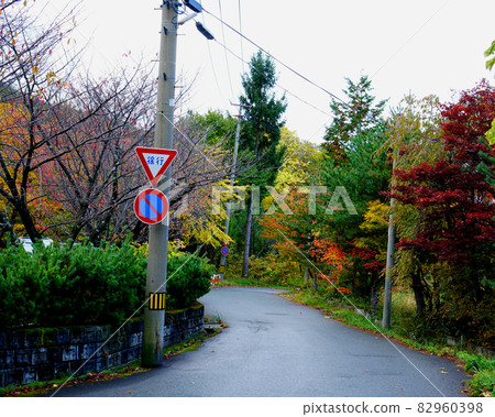 Zao Onsen autumn leaves Zao Onsen autumn leaves 82960398