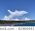 從海上看到的鯨魚雲 82960441