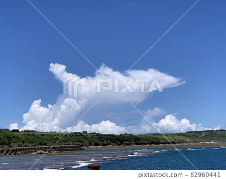 從海上看到的鯨魚雲 從海上看到的鯨魚雲 82960441