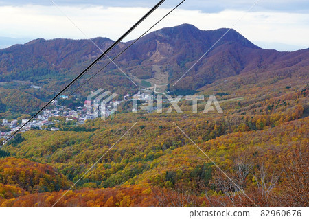 Zao Ropeway Autumn Leaves Zao Ropeway Autumn Leaves 82960676
