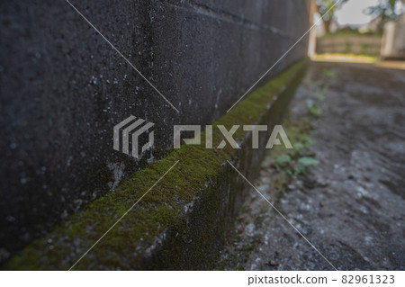 State of moss growing on the wall 82961323