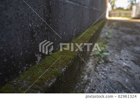 State of moss growing on the wall State of moss growing on the wall 82961324