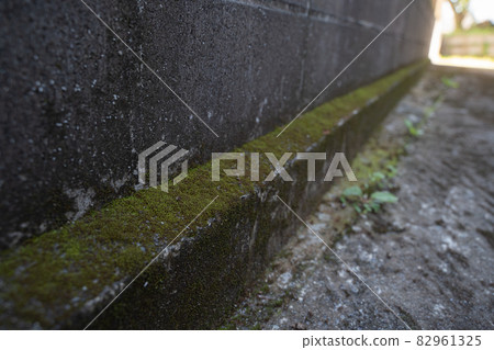 State of moss growing on the wall 82961325
