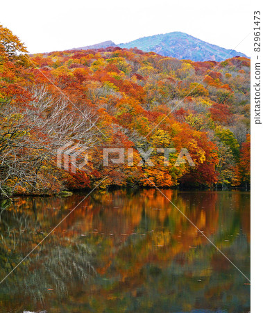 Tsutanuma Aomori Prefecture Tsutanuma Aomori Prefecture 82961473