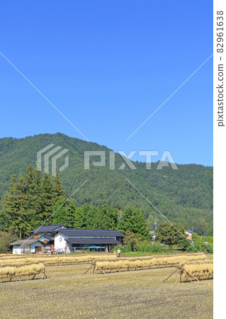 安曇野:碩果累累的秋天裡有鐵杉的風景 安曇野:碩果累累的秋天裡有鐵杉的風景 82961638