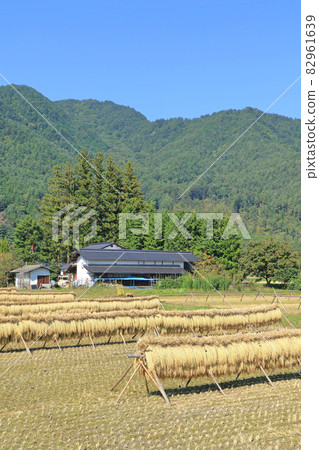 安曇野:碩果累累的秋天裡有鐵杉的風景 安曇野:碩果累累的秋天裡有鐵杉的風景 82961639