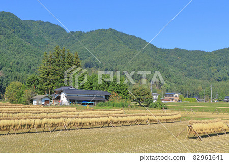 安曇野:碩果累累的秋天裡有鐵杉的風景 安曇野:碩果累累的秋天裡有鐵杉的風景 82961641