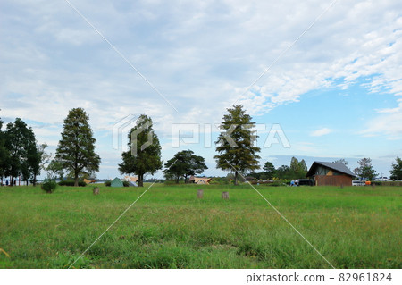 Park scenery against the backdrop of the autumn sky Park scenery against the backdrop of the autumn sky 82961824