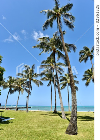 Holidays in Hawaii Holidays in Hawaii 82961828