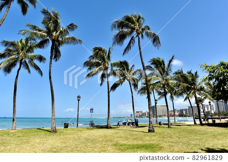 Holidays in Hawaii Holidays in Hawaii 82961829