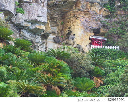 The main shrine of Misaki Shrine at Cape Toi, Kushima City, Miyazaki Prefecture 82962991