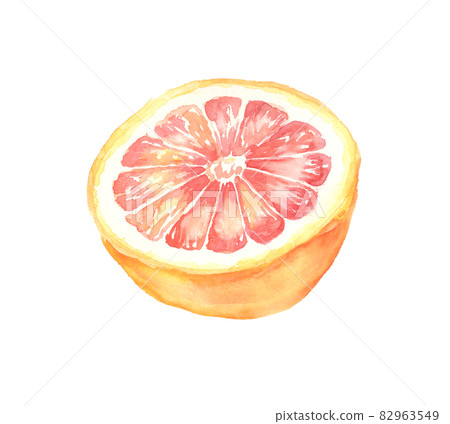 Illustration of grapefruit drawn in watercolor Illustration of grapefruit drawn in watercolor 82963549