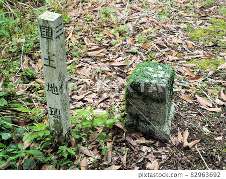 鹿兒島縣志布志町志布志町夏井岬天文台附近的三角測量站 82963692