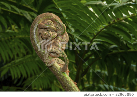 Larval landscape of toothpaste leaves 82963890