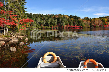 Shirakoma Pond where the autumn leaves are in full bloom Shirakoma Pond where the autumn leaves are in full bloom 82963941