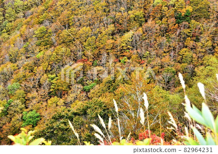 Autumn leaves of Bandai Azuma skyline 82964231