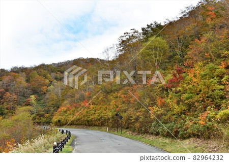 Autumn leaves of Bandai Azuma skyline 82964232