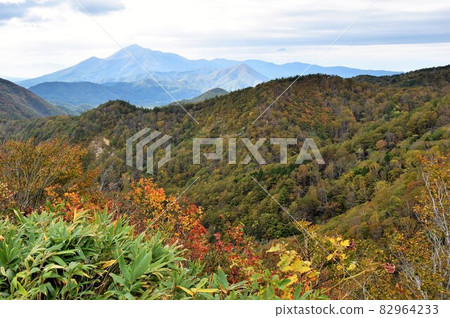 Bandai-Azuma Skyline Autumn Leaves-Kunimidai 82964233