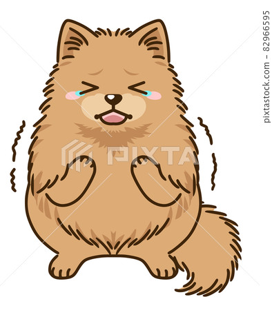 Frightened Pomeranian (orange) 82966595