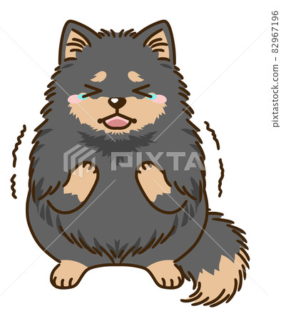Frightened Pomeranian (Black & Tan) 82967196