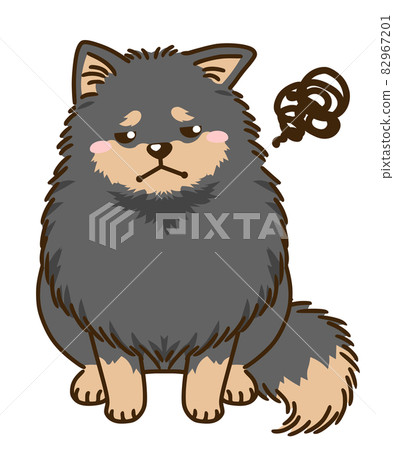 不滿意的博美犬(黑色和棕褐色) 不滿意的博美犬(黑色和棕褐色) 82967201