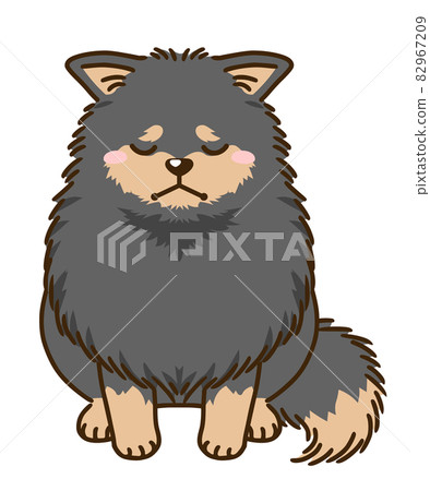 沮喪的博美犬(黑色和棕褐色) 沮喪的博美犬(黑色和棕褐色) 82967209
