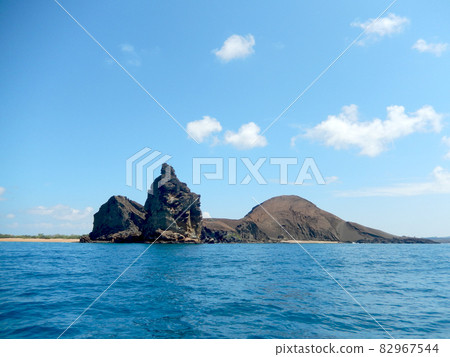 加拉帕戈斯島 加拉帕戈斯島 82967544