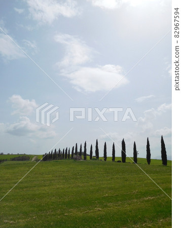 Scenery of the Val d'Orcia with cypresses in Pienza, Italy 82967594