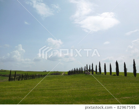 Scenery of the Val d'Orcia with cypresses in Pienza, Italy 82967595