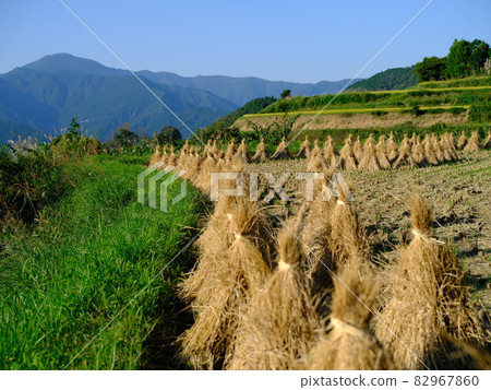 Straw storehouse Straw storehouse 82967860