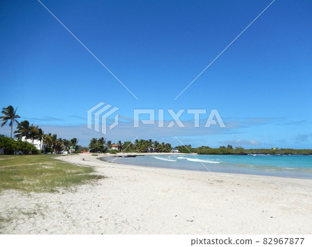 Natural landscape of each island of the Galapagos Islands Natural landscape of each island of the Galapagos Islands 82967877