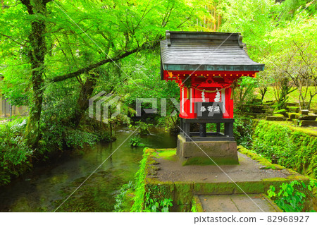 Shrine 82968927