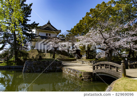 Cherry blossoms at Tsuchiura Castle (Kame Castle) 82969096