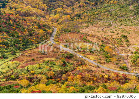 (Fukushima Prefecture) Azuma Kofuji, Jododaira Marsh seen from the crater edge of the mountaintop (Fukushima Prefecture) Azuma Kofuji, Jododaira Marsh seen from the crater edge of the mountaintop 82970300