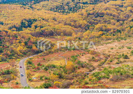 (Fukushima Prefecture) Azuma Kofuji, Jododaira Marsh seen from the crater edge of the mountaintop (Fukushima Prefecture) Azuma Kofuji, Jododaira Marsh seen from the crater edge of the mountaintop 82970301