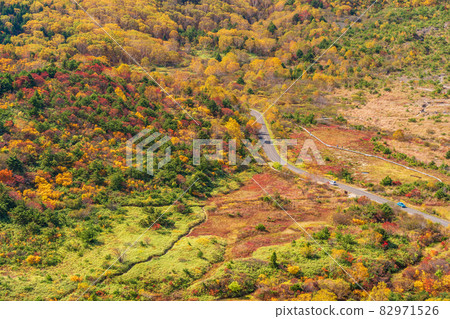 (福島縣)美麗秋色的淨土平沼澤 (福島縣)美麗秋色的淨土平沼澤 82971526