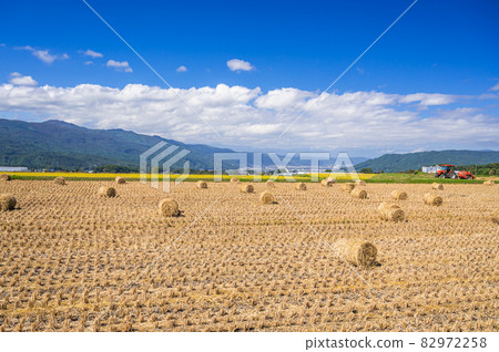 Landscape with rice straw roll Landscape with rice straw roll 82972258