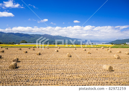 Landscape with rice straw roll Landscape with rice straw roll 82972259