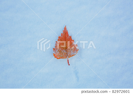 Snow pattern 82972601