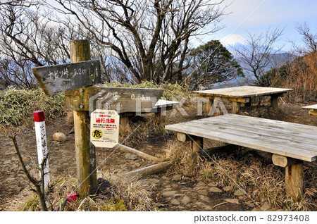 早上從丹澤山的尼諾託山頂眺望富士山 早上從丹澤山的尼諾託山頂眺望富士山 82973408