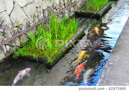 津和野町切 津和野町切 82973900