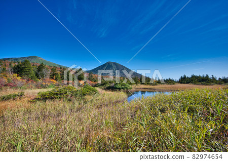 青森縣八甲田山,秋天落葉的水蓮沼 青森縣八甲田山,秋天落葉的水蓮沼 82974654
