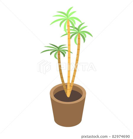 Houseplant palm tree icon, isometric style Houseplant palm tree icon, isometric style 82974690
