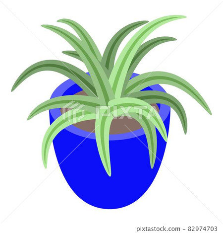Aloe vera houseplant icon, isometric style Aloe vera houseplant icon, isometric style 82974703