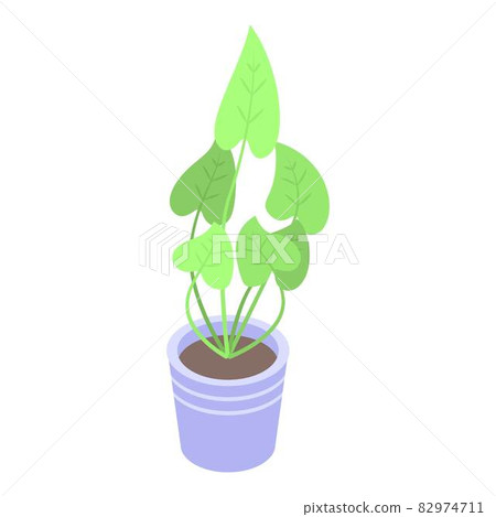 Big leaf houseplant icon, isometric style Big leaf houseplant icon, isometric style 82974711