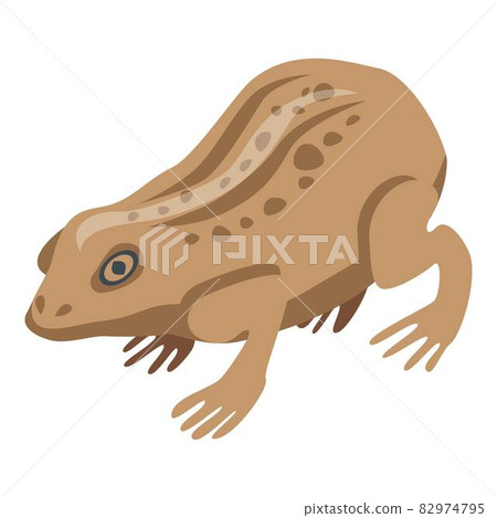 Field frog icon, isometric style 82974795