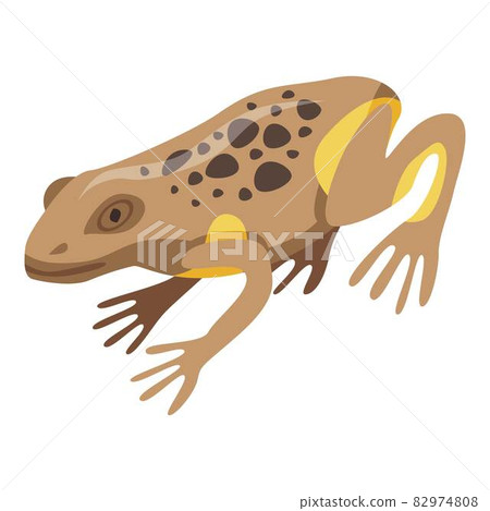 Frog icon, isometric style Frog icon, isometric style 82974808